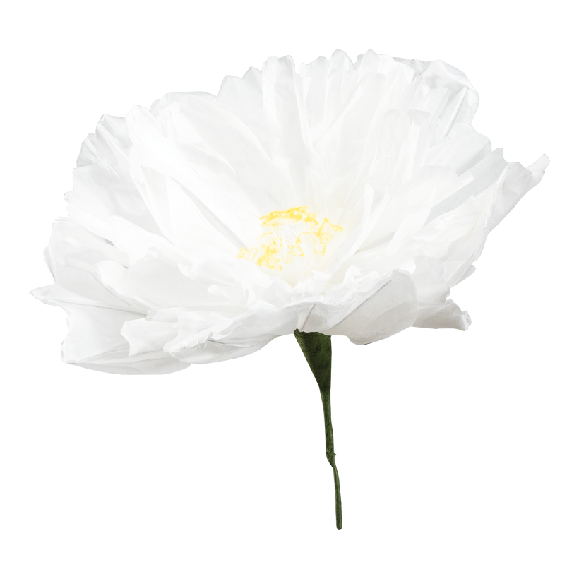 Blume mit kurzem Stiel, ø 30cm Stiel: 12cm aus Papier, biegsam