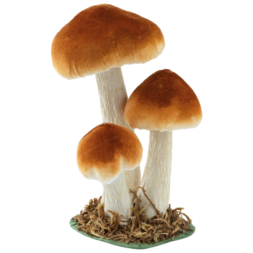 Steinpilz-Gruppe, 17x12x9cm 3-fach, aus Styropor