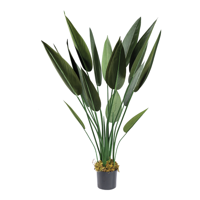 Strelizie im Topf, 110cm Topf: ø 15cm 18 Blätter, aus Kunststoff