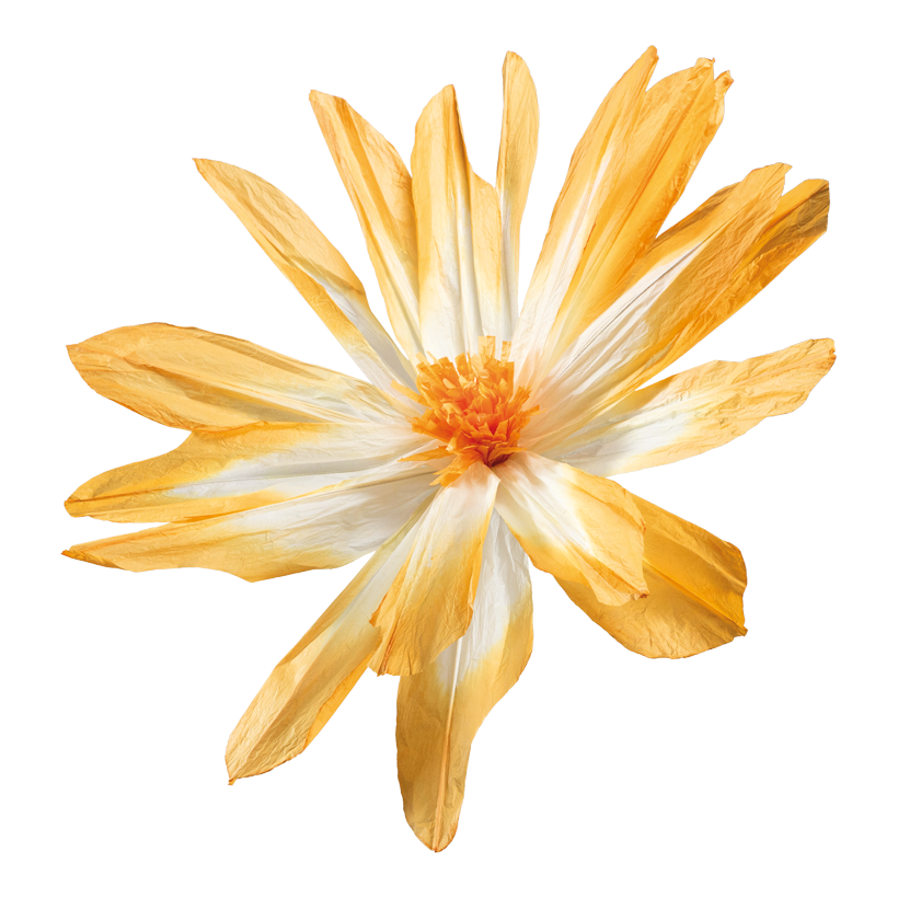 Tête de fleur, ø 120cm Stiel: 34cm en papier, flexible