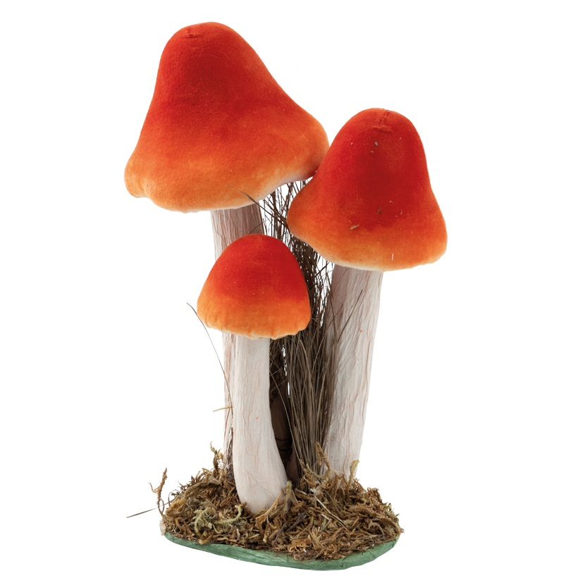 Pilz-Gruppe, 28x18x15cm 3-fach, aus Styropor