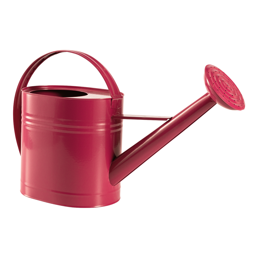 Arrosoir, 46x27x15cm en métal