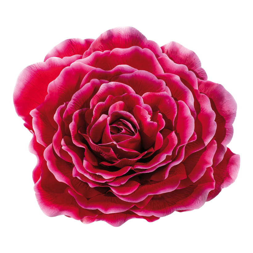 Rosenkopf, 70cm aus Kunstseide, zum Hängen Rosenkopf, 70cm aus Kunstseide, zum Hängen