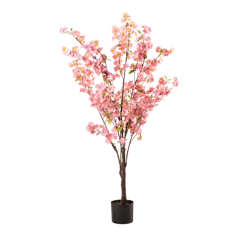 Kirschblütenbaum im Topf, 140cm Topf: ⌀ 15cm aus Kunststoff, blüten aus Kunstseide