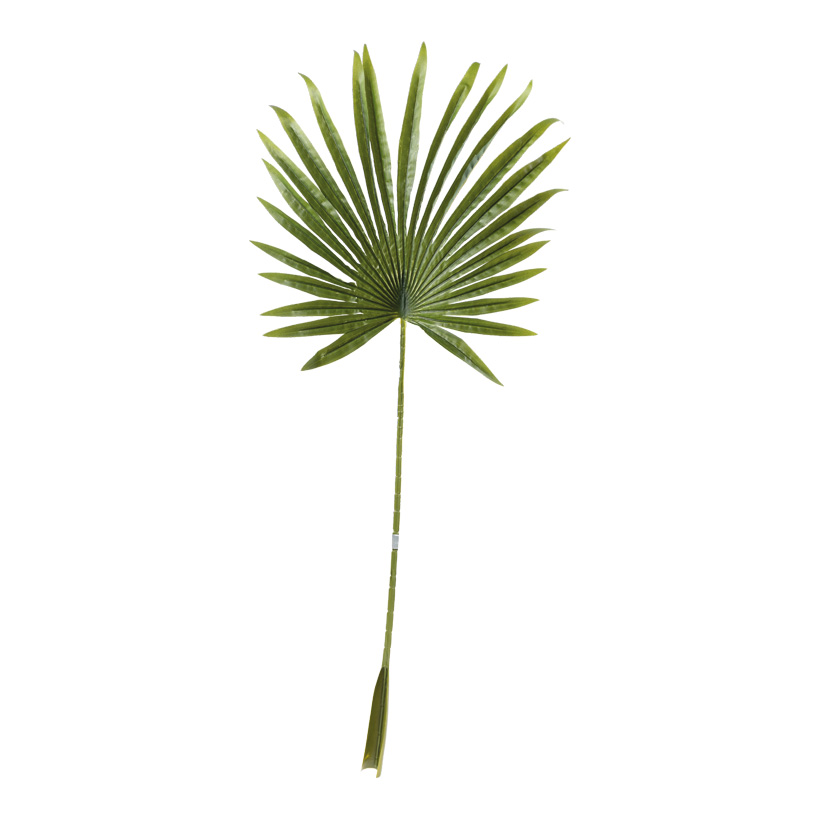 Fächerpalmenblatt, 100x40cm Stiel: 62cm aus Kunststoff