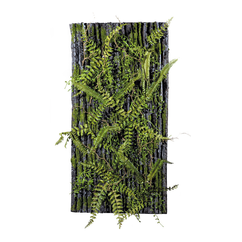 Panneau de mousse, 100x50cm Surface dans le regard d'écorce d'arbre, moussu et décoré