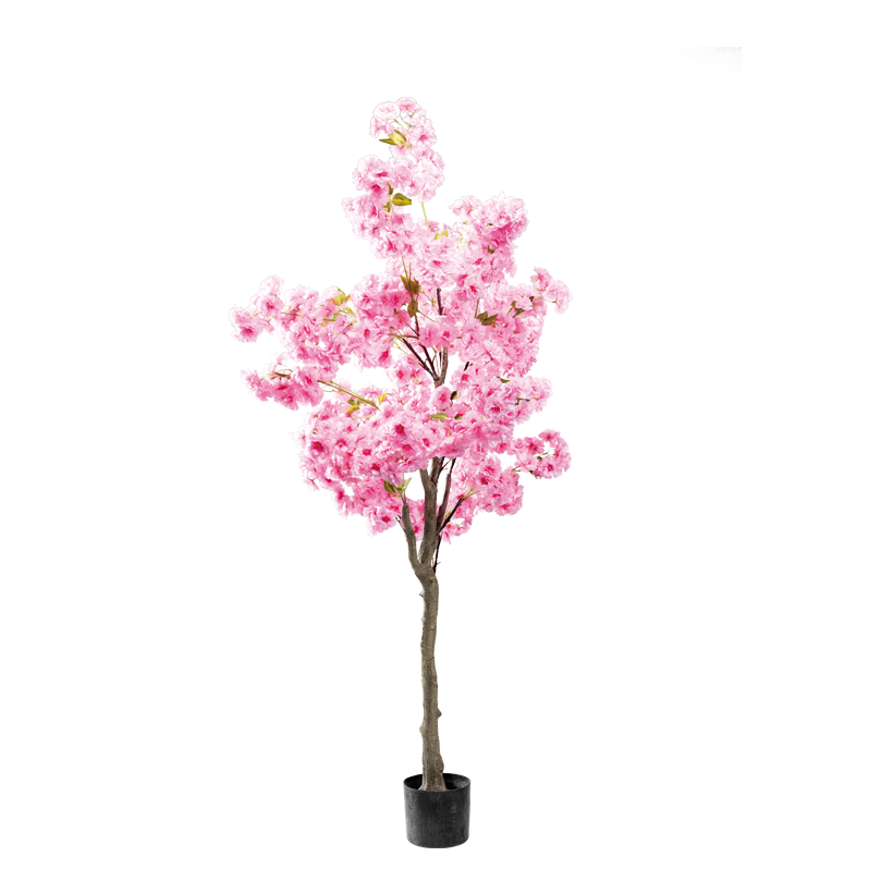 Kirschblütenbaum, 180cm Topf: ø 18cm aus Kunststoff/Kunstseide
