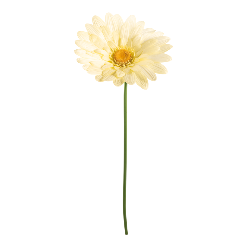 Maguerite, 150cm ø 65cm 2-pièces, en soie artificielle/plastique flexible