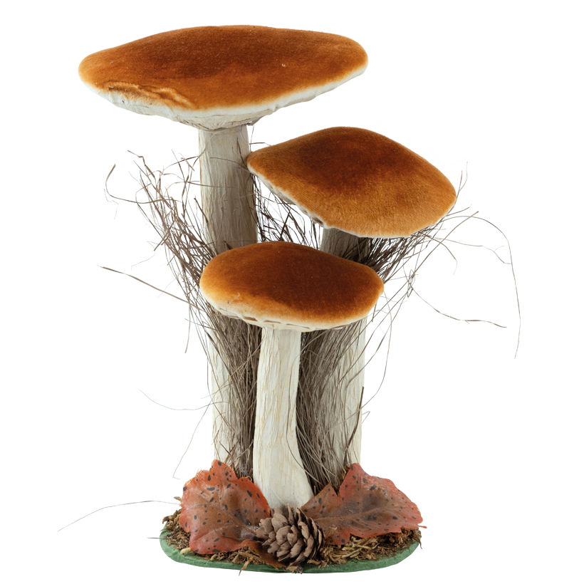 Steinpilz-Gruppe, 27x19x10cm 3-fach, aus Styropor