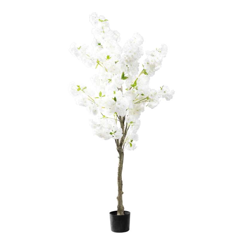 Kirschblütenbaum, 180cm Topf: ø 18cm aus Kunststoff/Kunstseide