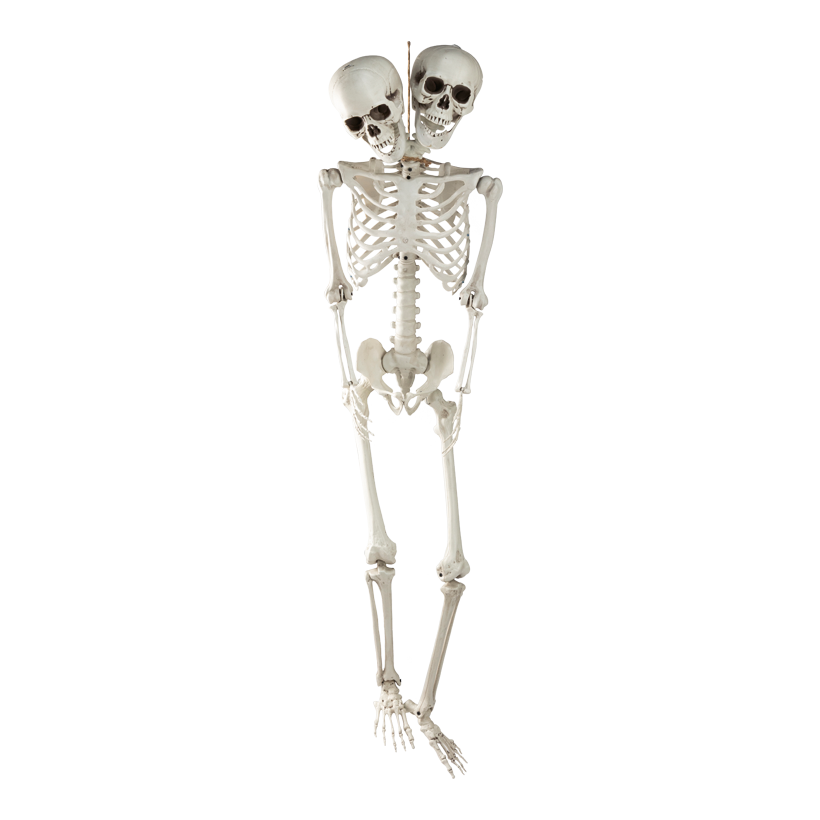 Skelett, 165cm 2-köpfig, aus Kunststoff, mit Hänger