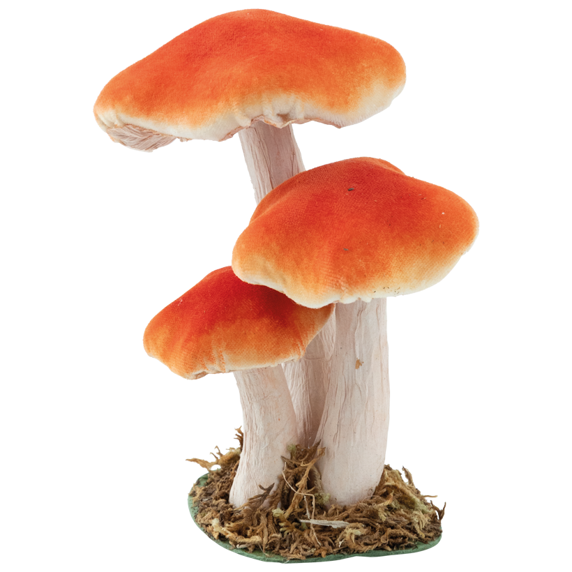 Pilz-Gruppe, 17x14x11cm 3-fach, aus Styropor