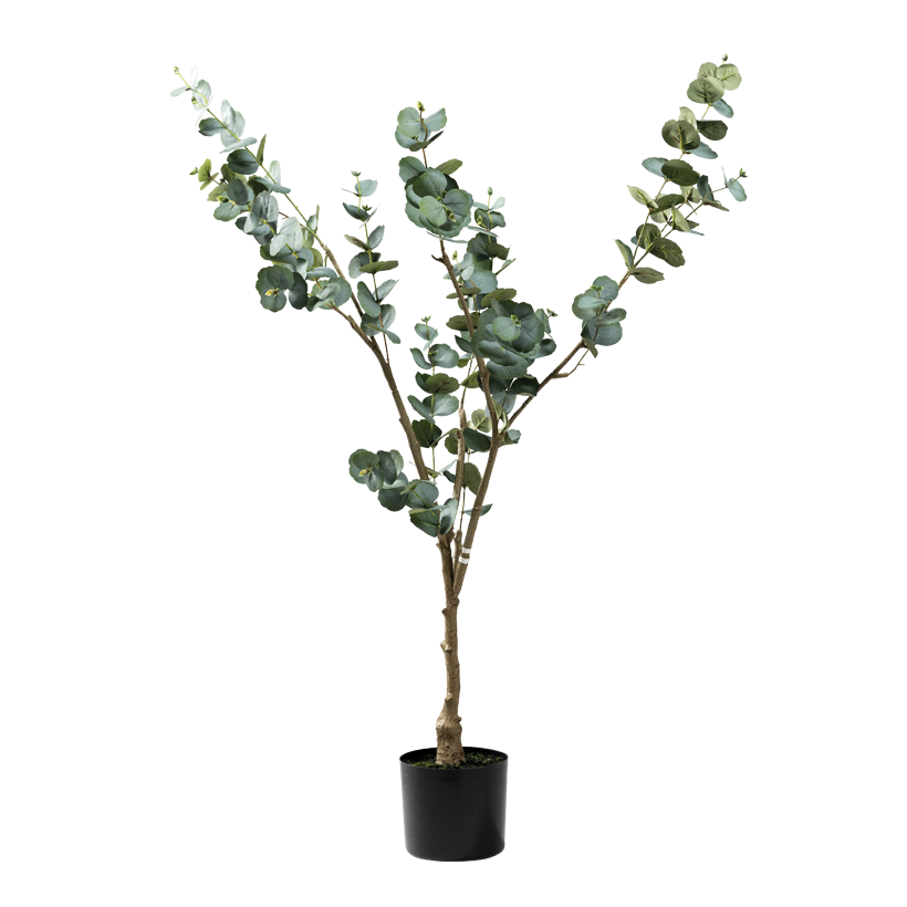 Eukalyptusbaum, 140cm Topf: ø 17cm 3-teilig, aus Kunststoff/Kunstseide