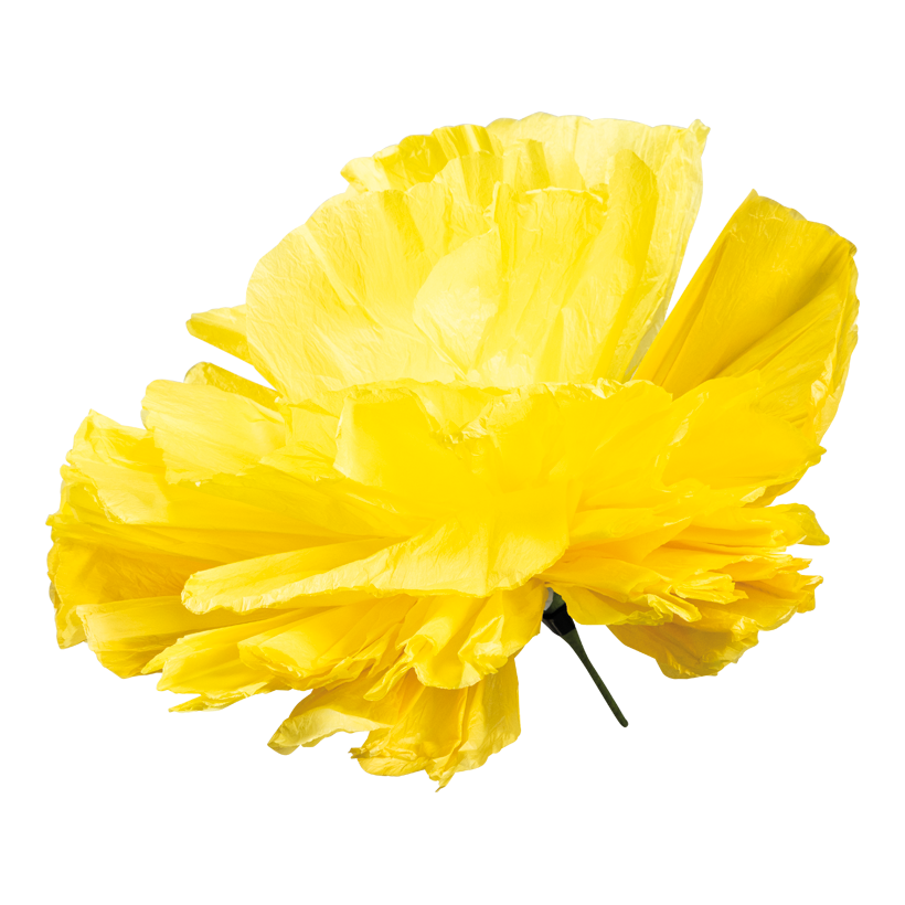 Tête de fleur, ø 60cm Stiel: 13cm en papier, flexible