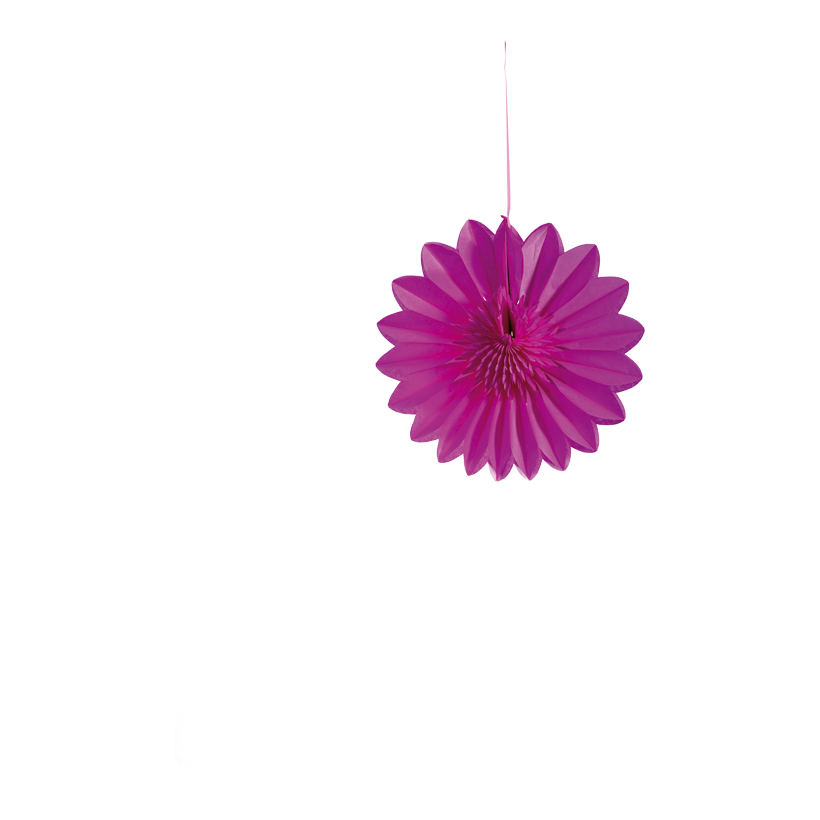 Blumenrosette, 30cm aus Papier, faltbar, mit Hänger, selbstklebend
