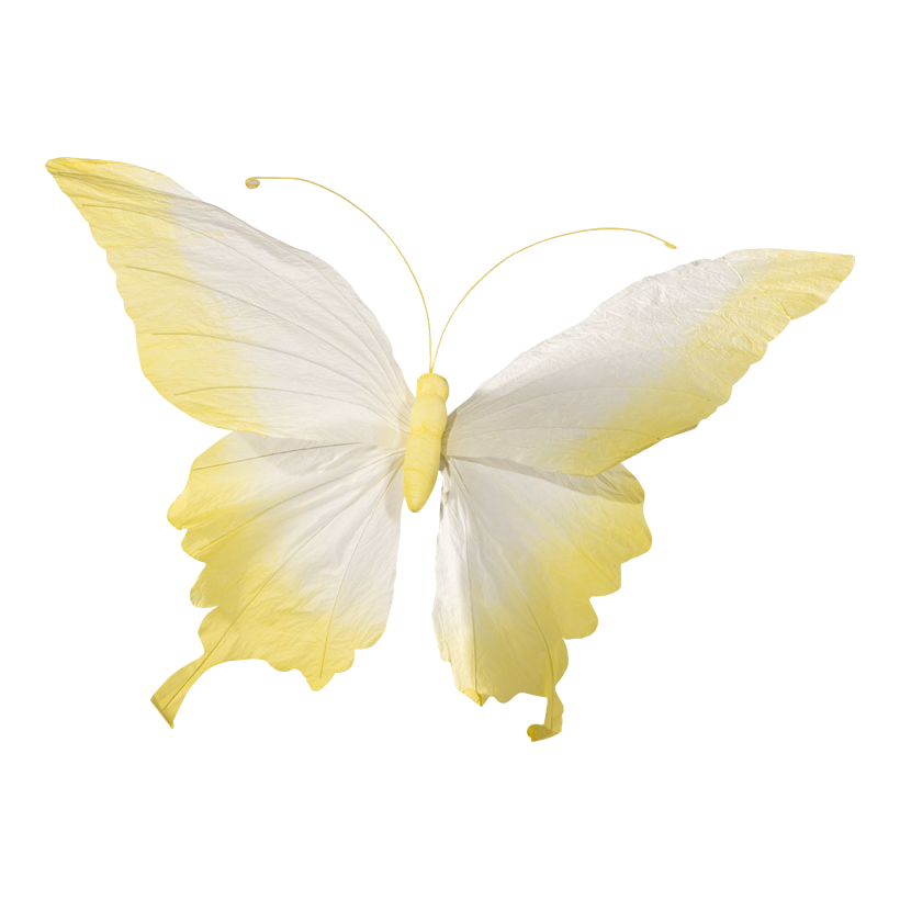 Papillon à tige courte, 60x37cm Stiel: 12cm en papier, flexible