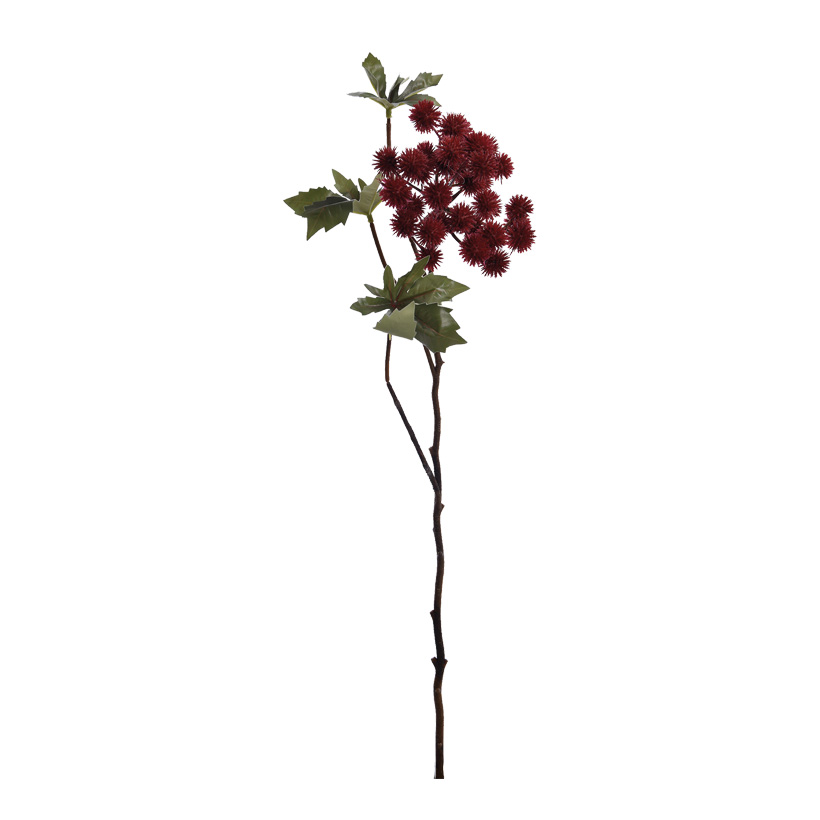 Christuspalmenzweig, 54cm Christuspalmenzweig, 54cm