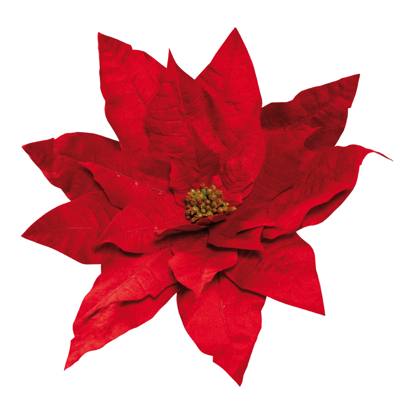 Poinsettia, ø 72cm Stiel: 11,5cm aus Kunstseide/Samt, mit kurzem Stiel, biegsam