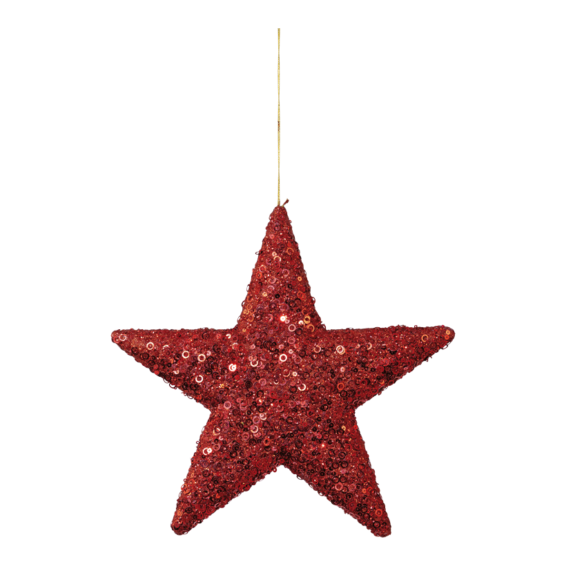 Stern mit Pailletten, ø 30cm aus Kunststoff, flach, mit Hänger, beglittert
