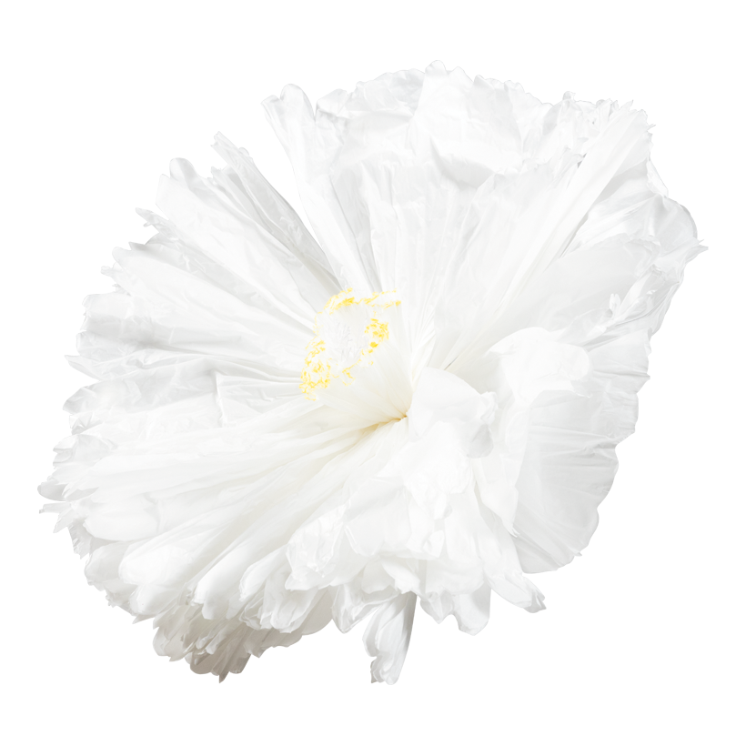 Blume mit kurzem Stiel, ø 90cm Stiel: 15cm aus Papier, biegsam