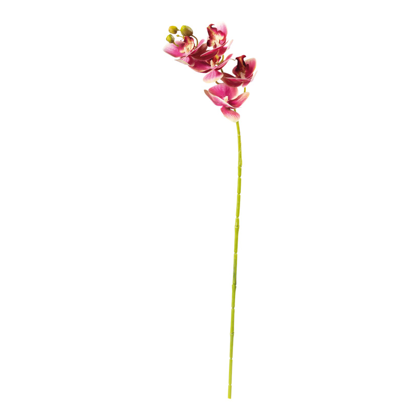 Orchidée, 71cm Stiel: 50cm avec 5 fleurs & bourgeons, en plastique/soie artificielle, flexible