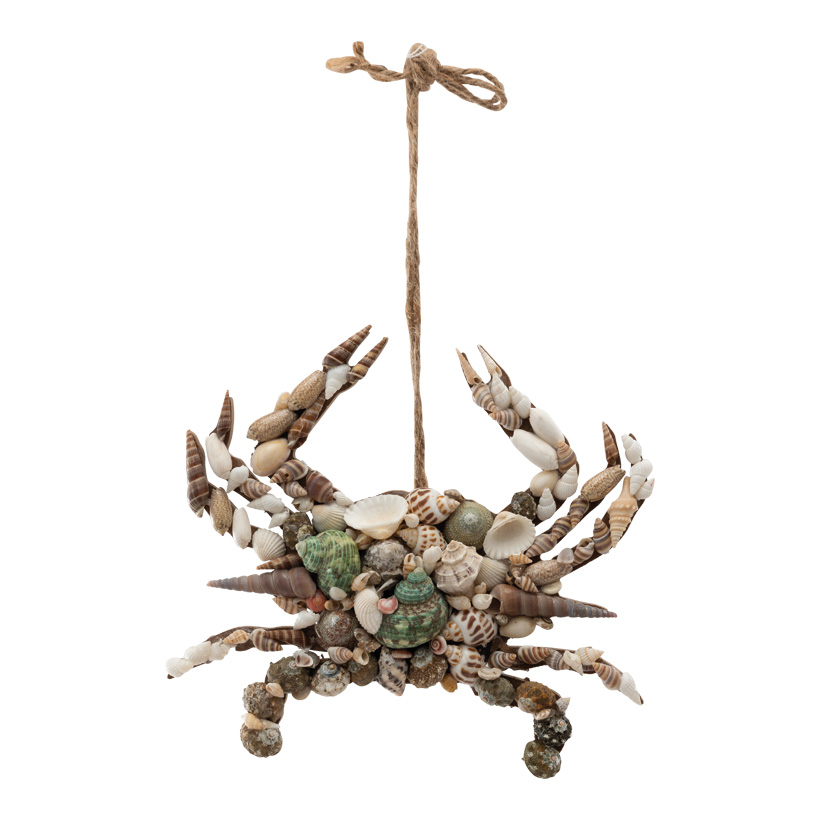 Krabbe, 22x20x3,5cm Hänger ca. 23cm aus MDF, mit echten Muscheln