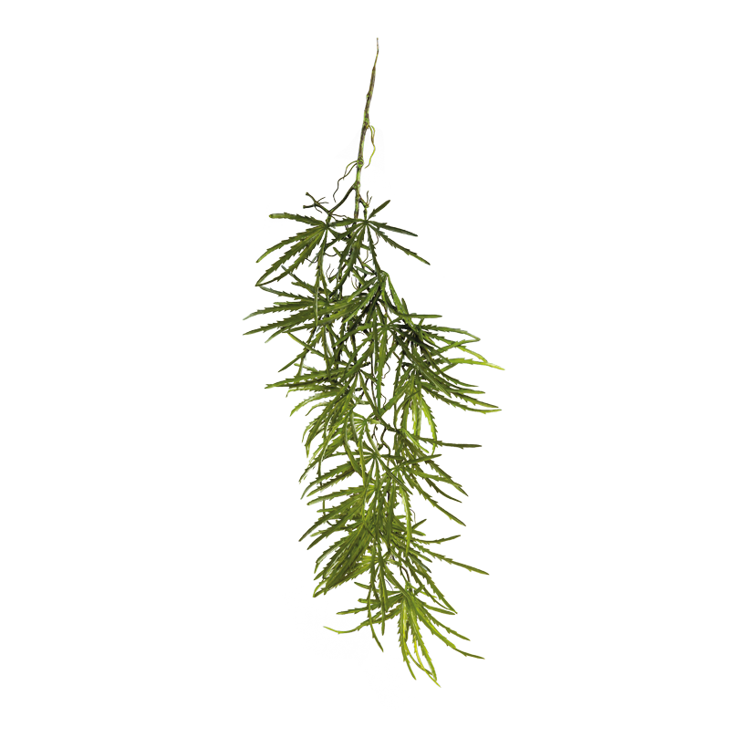 Strahlenaralien Hänger 100cm aus Kunststoff