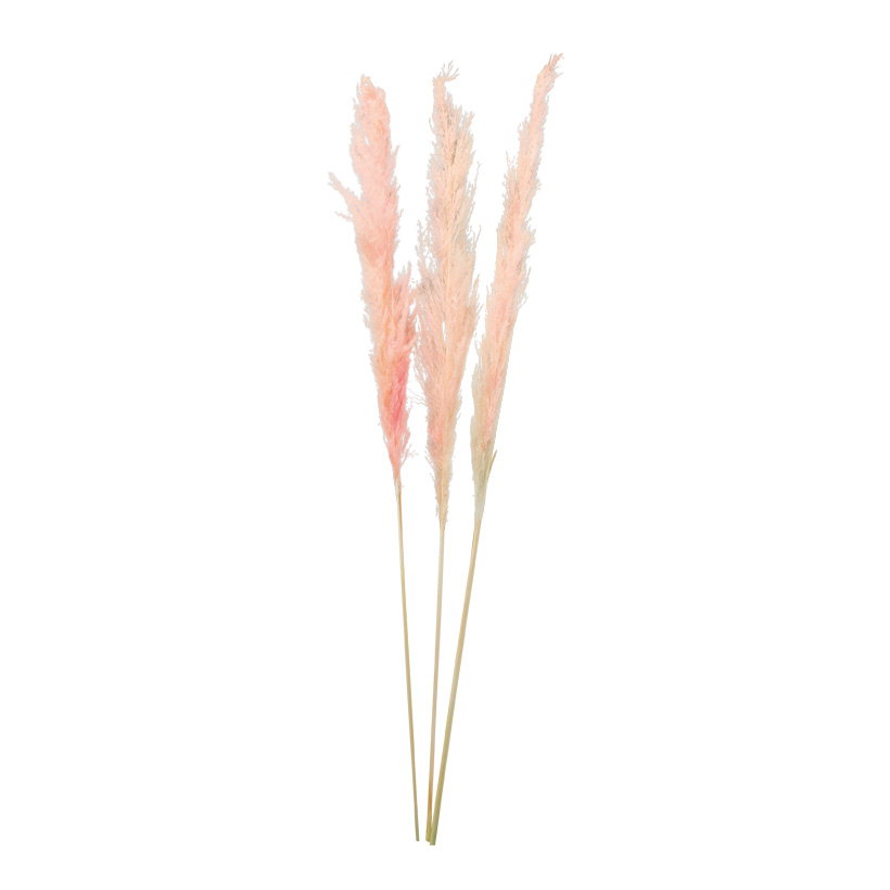 ^ 110cm 3-fach, getrocknet ^ 110cm 3-fach, getrocknet