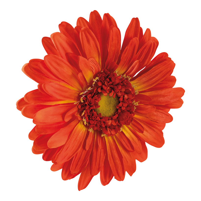 Gerberakopf, ø 30cm aus Kunstseide, zum Hängen