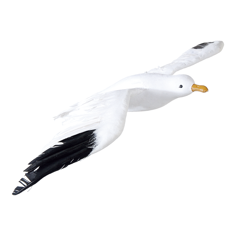 Seemöwe
