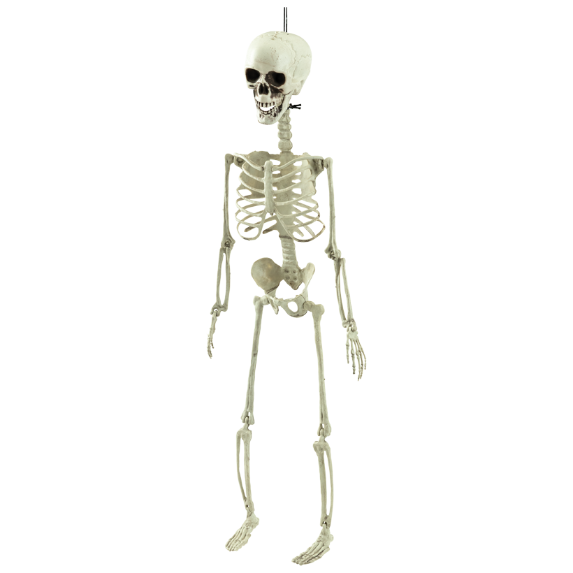 Squelette, mobile, 75x20cm en plastique, avec suspension