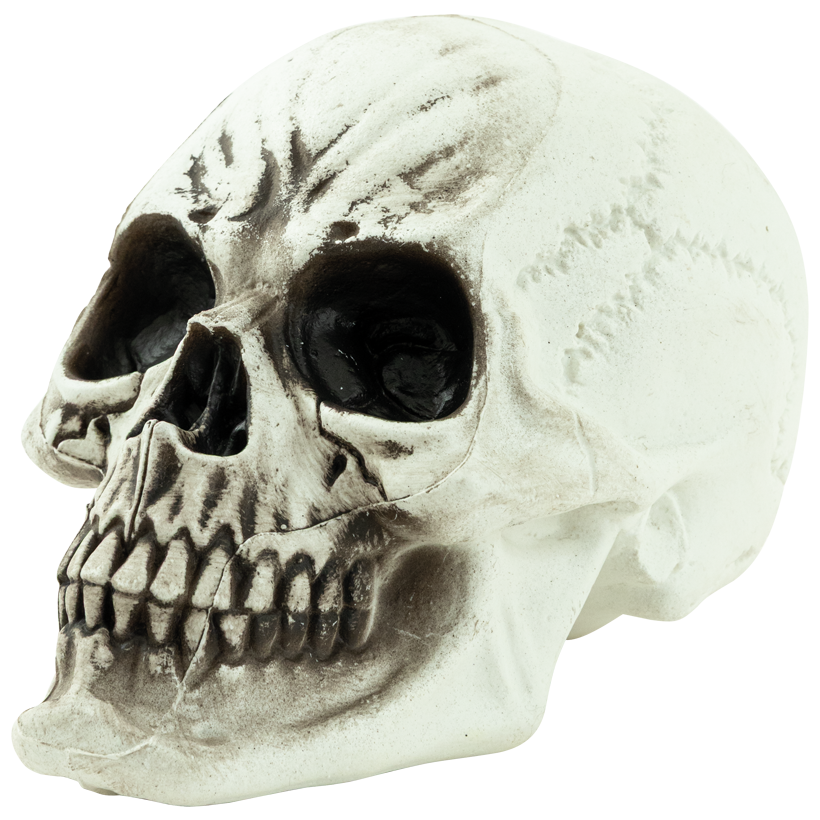 Tête de mort, 18x16x24cm en plastique