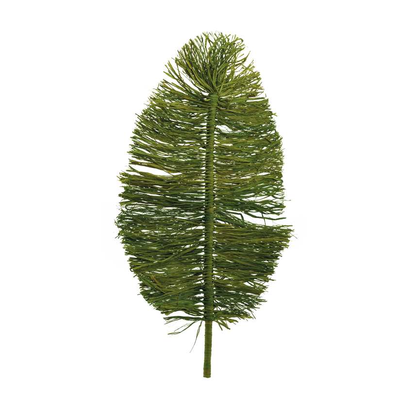 Raffia Blatt, 90x52x2cm Stiel: 15cm aus Naturmaterial, flach