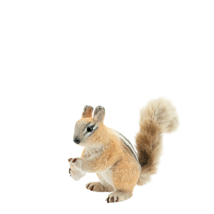 Eichhörnchen, 30x14x22cm  aus Kunstfasern/Styropor/Kunstfell, stehend