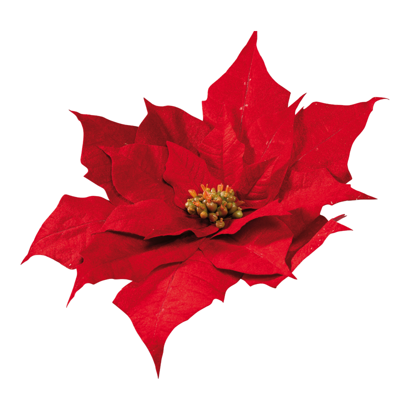 Poinsettia, ø 58cm Stiel: 11,5cm aus Kunstseide/Samt, mit kurzem Stiel, biegsam