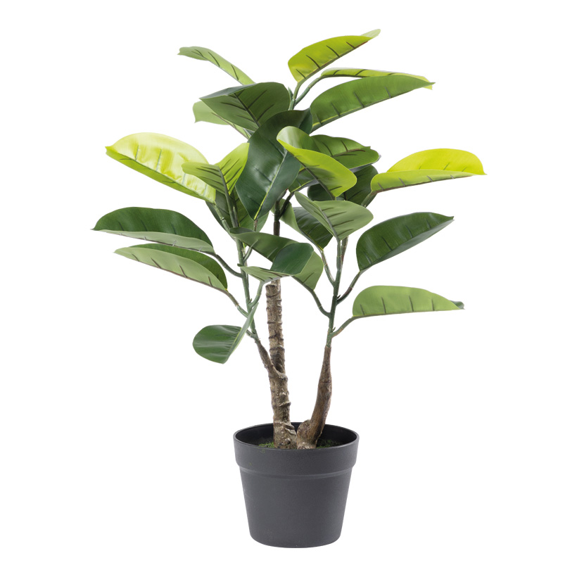 Ficus Gummibaum, 70cm Topf: ø 16cm 24 Blätter, aus Kunststoff/Kunstseide