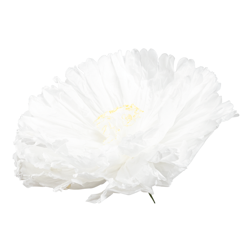 Blume mit kurzem Stiel, ø 60cm Stiel: 16cm aus Papier, biegsam