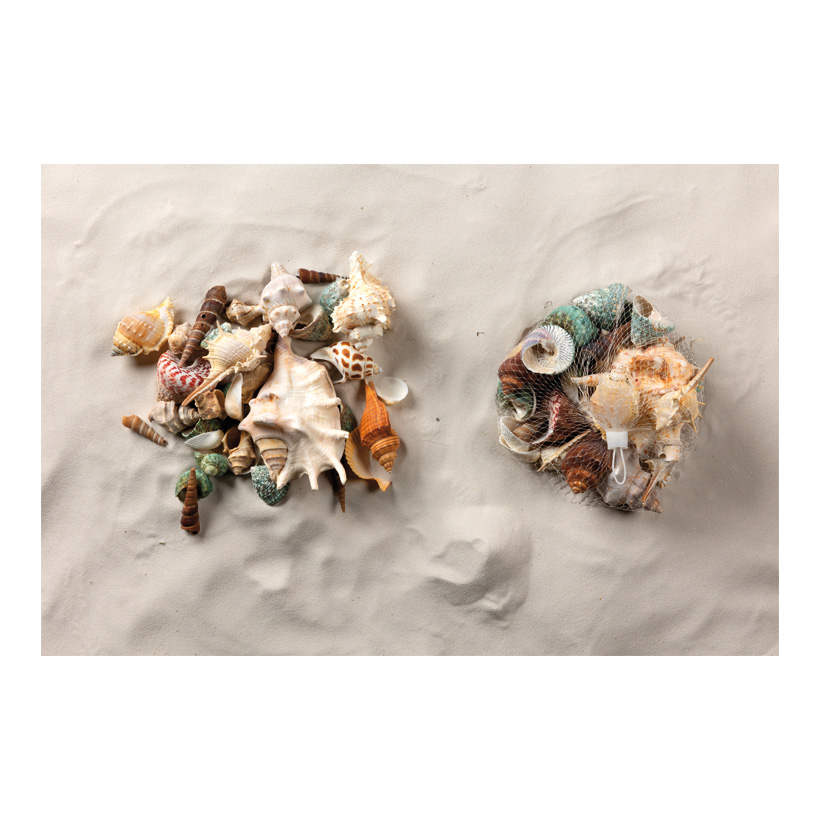 Muscheln im Netz, 500g 3-13cm sortiert