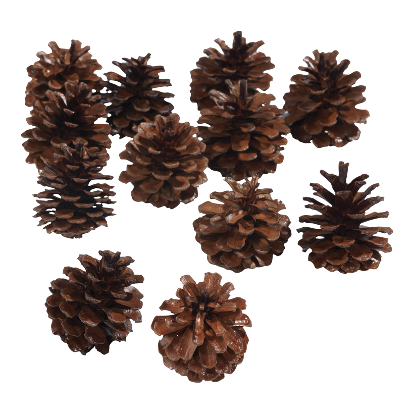 Tannenzapfen, ca. 4-5cm 12Stck./Btl., echte Zapfen