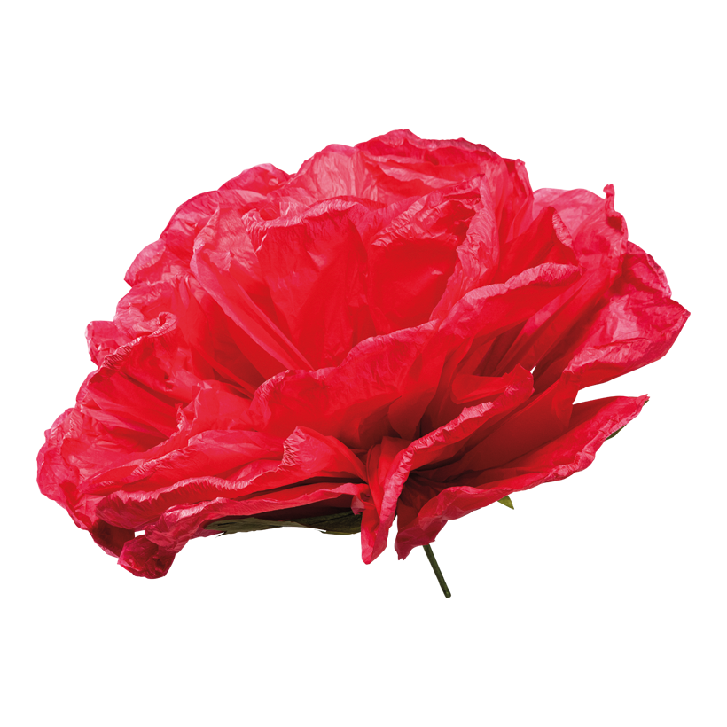 Rosenkopf, 60cm Stiel: 19cm aus Papier, biegsam