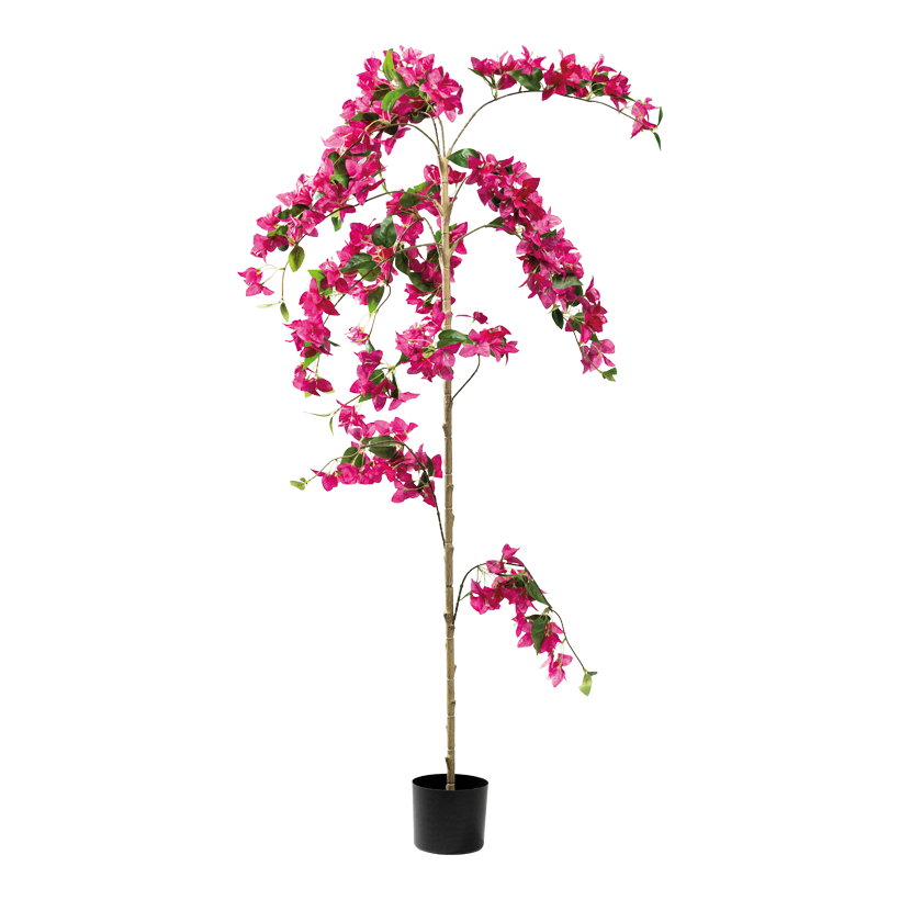 Bougainvillea Baum, 160cm Topf: ø 15cm 3-teilig, aus Kunststoff/Kunstseide