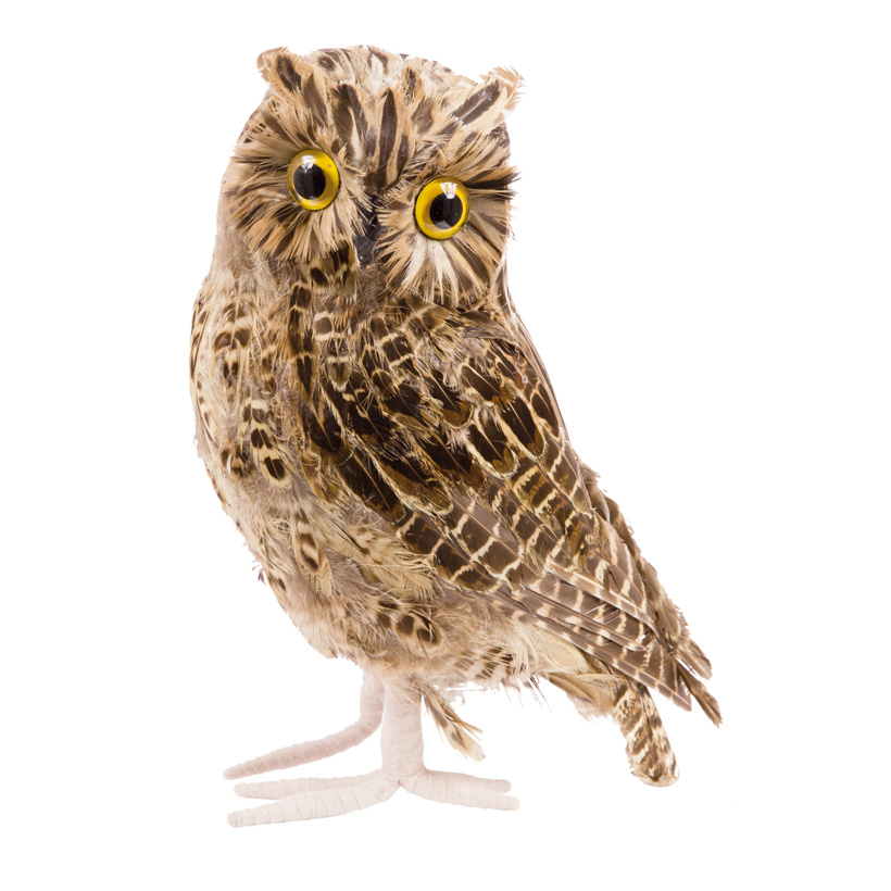 Eule, 18x18cm, mit Federn, Polyfoam Eule, 18x18cm, mit Federn, Polyfoam
