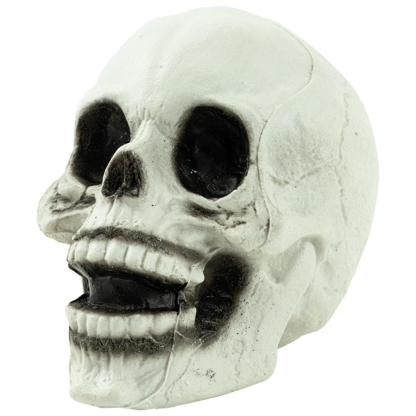 Tête de mort, 13x13x15cm en plastique