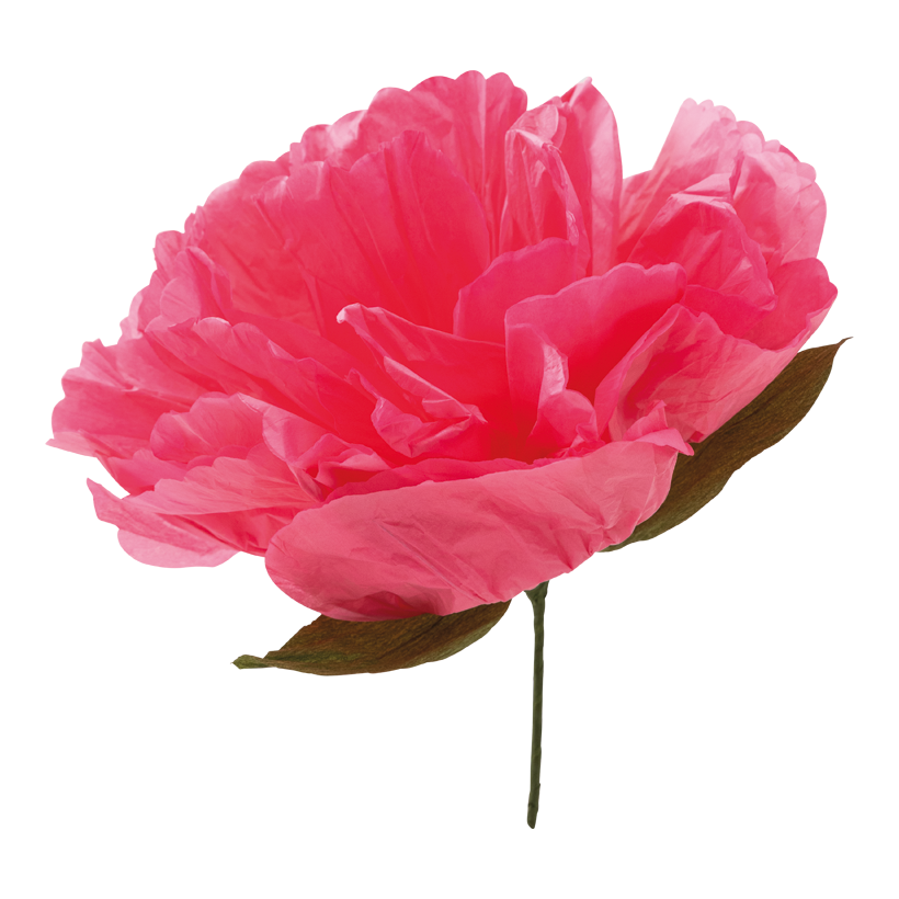 Tête de fleur, ø 35cm Stiel: 11cm en papier, flexible