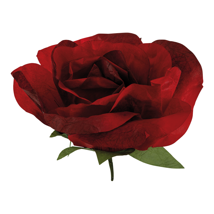 Rosenkopf, ø 50cm aus Papier, mit kurzem Stiel