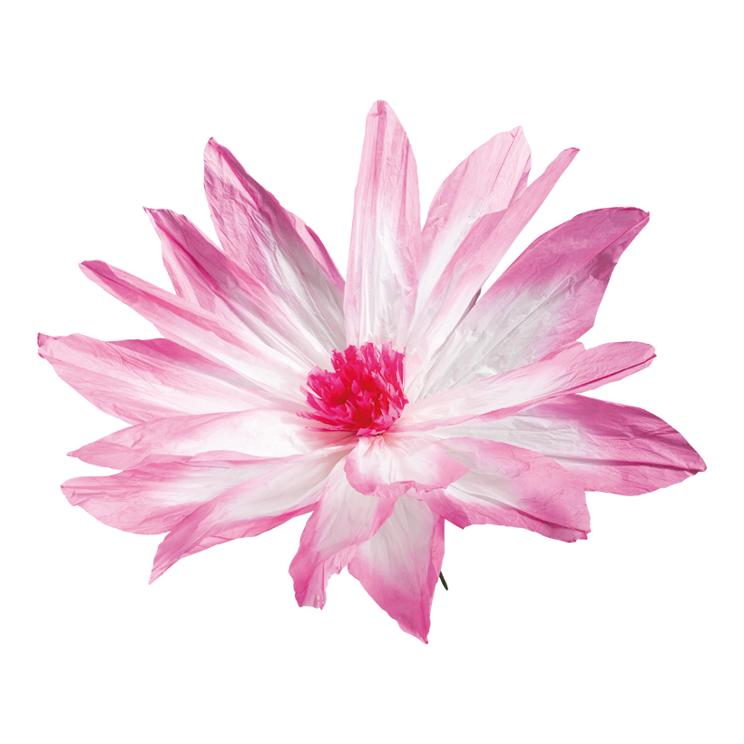 Tête de fleur, ø 90cm Stiel: 26cm en papier, flexible