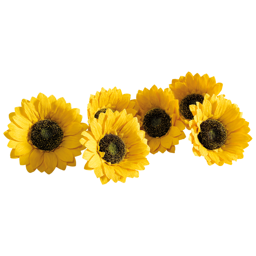 Sonnenblumenblüten, Ø 15cm 6 Stück im Beutel, aus Papier