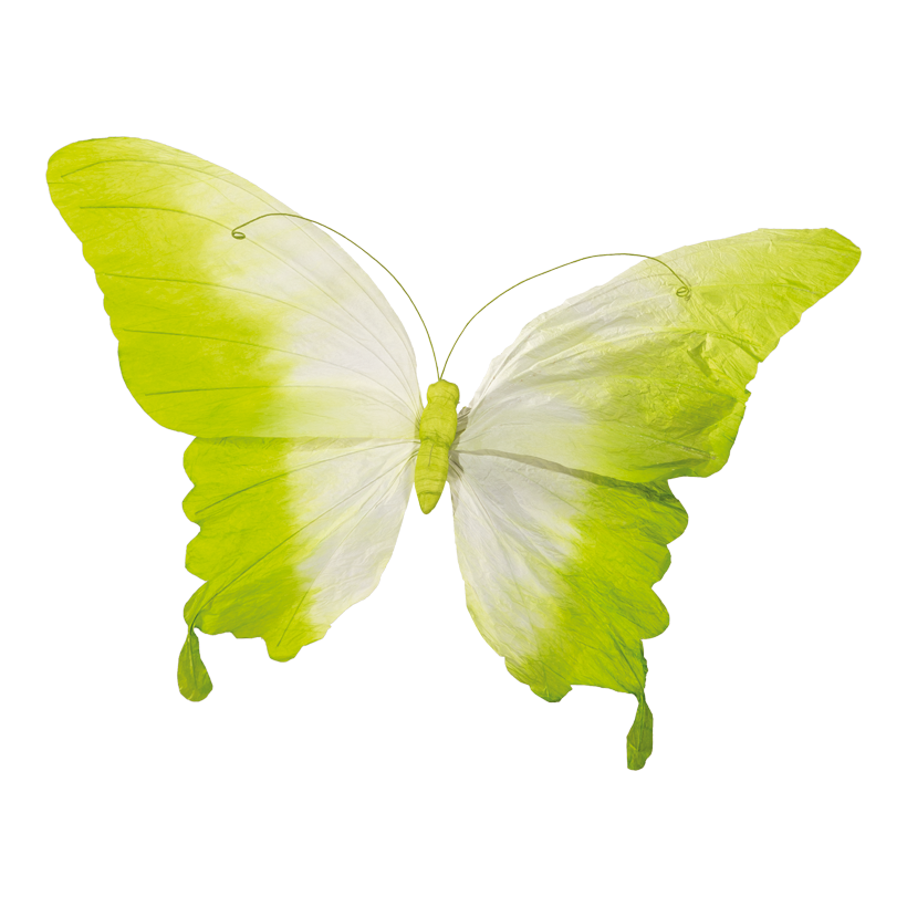 Papillon à tige courte, 60x37cm Stiel: 12cm en papier, flexible