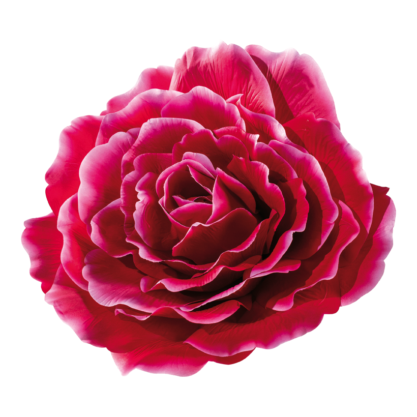 Rosenkopf, 55cm aus Kunstseide, zum Hängen