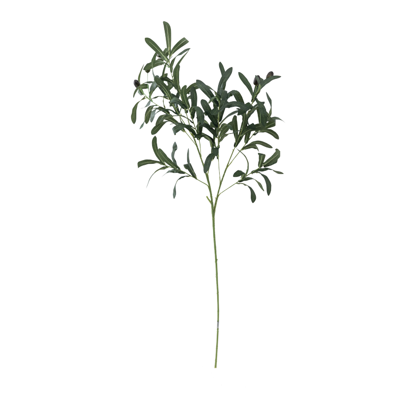 Olivenzweig, 100cm ø 2cm, Stiel: 41cm aus Kunstseide/Kunststoff, biegsam